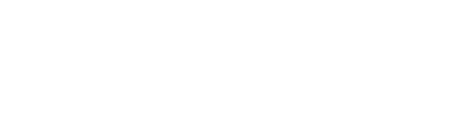 COMMON germany Logo