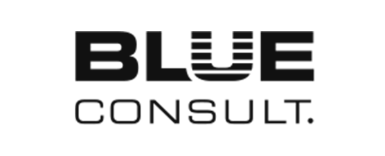 BLUE Consult Logo